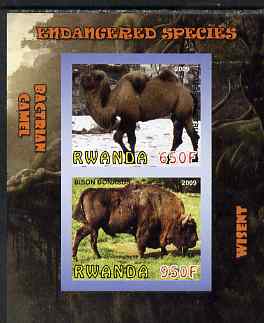 Rwanda 2009 Endangered Species - Wisent & Camel imperf sheetlet containing 2 values unmounted mint