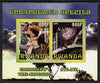 Rwanda 2009 Endangered Species - Tree Kangaroo & Aye Aye (Lemur) imperf sheetlet containing 2 values unmounted mint
