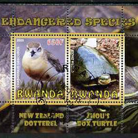 Rwanda 2009 Endangered Species - New Zealand Dotterel & Box Turtle perf sheetlet containing 2 values fine cto used