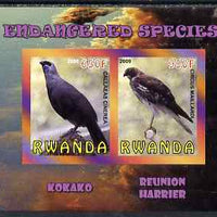 Rwanda 2009 Endangered Species - Kokako & Harrier imperf sheetlet containing 2 values unmounted mint