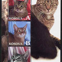 Kosova 2000 Domestic Cats perf sheetlet containing set of 3 values unmounted mint