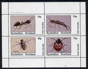 Eynhallow 1982 Insects (Ant, Earwig, Horsefly & Ladybird) perf,set of 4 values (10p to 75p) unmounted mint