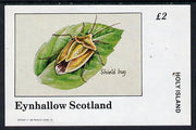 Eynhallow 1982 Insects (Shield Bug) imperf deluxe sheet (£2 value) unmounted mint