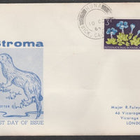 Stroma 1964 Europa cover to London bearing Botanical 3d stamp cancelled Huna cds being the correct rate for UK delivery. Note: I have several of these covers so the one you receive may be slightly different to the one illustrated