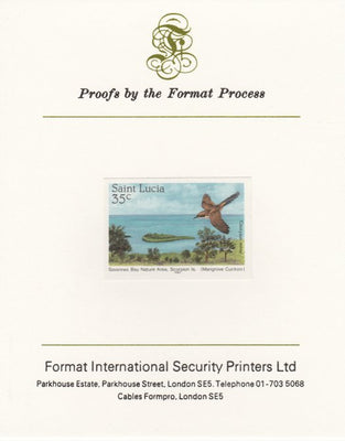 St Lucia 1985 Nature Reserves 35c Mangrove Cuckoo imperf proof mounted on Format International proof card as SG 821