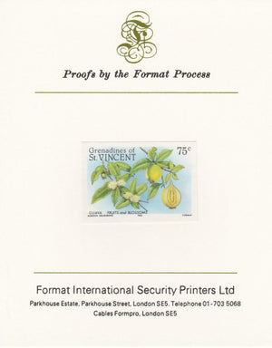 St Vincent - Grenadines 1985 Fruits & Blossoms 75c (Guava) imperf proof mounted on Format International proof card as SG 399