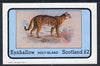 Eynhallow 1982 Wild Cats #1 imperf deluxe sheet (£2 value) unmounted mint