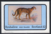 Eynhallow 1982 Wild Cats #1 imperf deluxe sheet (£2 value) unmounted mint