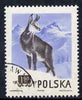 Poland 1954 Chamois 1z 90 cto used from Protected Animals set, SG 902