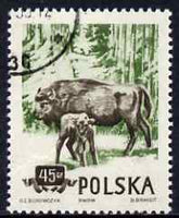 Poland 1954 European Bison 45g cto used from Protected Animals set, SG 900