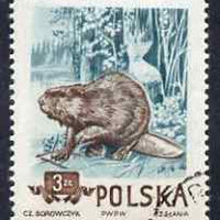 Poland 1954 Eurasian Beaver 3z cto used from Protected Animals set, SG 903