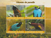 Chad 2018 Birds of Paradise perf sheetlet containing 4 values unmounted mint. Note this item is privately produced and is offered purely on its thematic appeal, it has no postal validity
