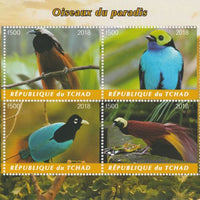 Chad 2018 Birds of Paradise perf sheetlet containing 4 values unmounted mint. Note this item is privately produced and is offered purely on its thematic appeal, it has no postal validity