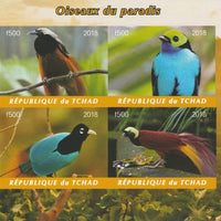 Chad 2018 Birds of Paradise imperf sheetlet containing 4 values unmounted mint. Note this item is privately produced and is offered purely on its thematic appeal, it has no postal validity