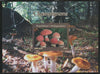 Madagascar 2018 Fungi imperf souvenir sheet unmounted mint. Note this item is privately produced and is offered purely on its thematic appeal.