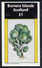 Bernera 1982 Trees (Holm Oak) imperf souvenir sheet (£1 value) unmounted mint