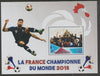 Madagascar 2018 France Football Champions perf m/sheet #4 containing one value unmounted mint