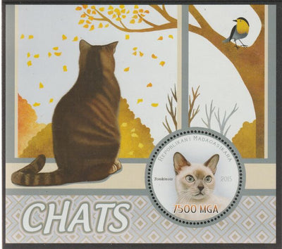 Madagascar 2015 Domestic Cats perf sheet containing one circular value unmounted mint