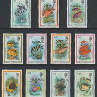 Montserrat 1981 Fish - Officials the set of 11 values opt's OHMS unmounted mint SG O42-O52