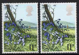 Great Britain 1979 Spring Wild Flowers 11p Bluebell with Queen's head shifted 2mm to left (plus normal, both unmounted mint SG 1081var