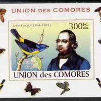 Comoro Islands 2008 Ornithologists & Birds #4 John Gould 300f individual imperf deluxe sheet unmounted mint. Note this item is privately produced and is offered purely on its thematic appeal, it has no postal validity