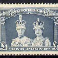 Australia 1937-49 KG6 Robes £1 well centred fine mounted mint SG 178