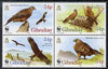 Gibraltar 1996 WWF - The Red Kite perf set of 4 in se-tenant block unmounted mint, SG 784-7
