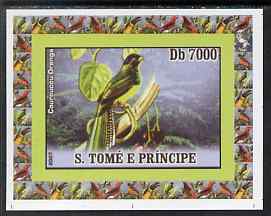 St Thomas & Prince Islands 2007 Birds #1 - Trogon imperf individual deluxe sheet unmounted mint. Note this item is privately produced and is offered purely on its thematic appeal