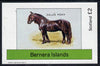 Bernera 1982 Ponies (Dales Pony) imperf deluxe sheet (£2 value) unmounted mint