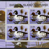 Easdale 2004 Conservation sheetlet containing 4 x £3 values showing Ducks, unmounted mint