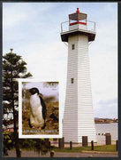 Djibouti 2004 Penguins #4 (Lighthouse in background) imperf m/sheet unmounted mint