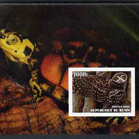 Benin 2004 Owls & Tortoises imperf s/sheet #1 unmounted mint. Note this item is privately produced and is offered purely on its thematic appeal