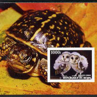 Benin 2004 Owls & Tortoises imperf s/sheet #3 unmounted mint. Note this item is privately produced and is offered purely on its thematic appeal