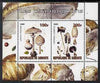Djibouti 2009 Fungi #3 perf sheetlet containing 2 values unmounted mint