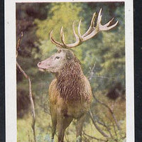 Bernera 1981 Deer #1 imperf deluxe sheet (£2 value) unmounted mint