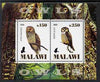Malawi 2009 Owls #1 perf sheetlet containing 2 values unmounted mint