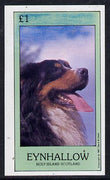 Eynhallow 1981 Dogs imperf souvenir sheet (£1 value) unmounted mint