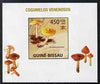 Guinea - Bissau 2009 Poisonous Mushrooms #02 individual imperf deluxe sheet unmounted mint. Note this item is privately produced and is offered purely on its thematic appeal