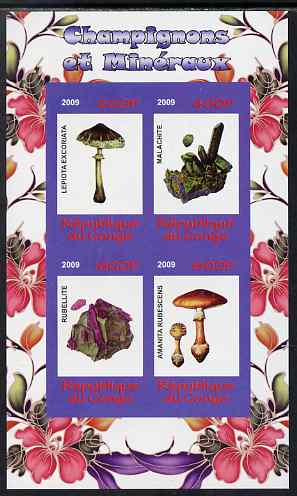 Congo 2009 Fungi & Minerals #2 imperf sheetlet containing 4 values unmounted mint