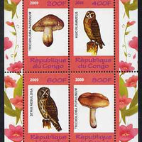 Congo 2009 Fungi & Owls #1 perf sheetlet containing 4 values unmounted mint