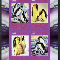 Congo 2009 Penguins imperf sheetlet containing 4 values unmounted mint