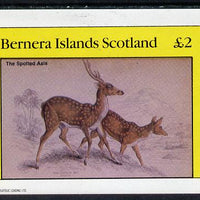 Bernera 1982 Animals (Axis) imperf deluxe sheet (£2 value) unmounted mint