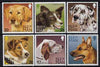 Isle of Man 1996 Dogs set of 6 unmounted mint, SG 719-24