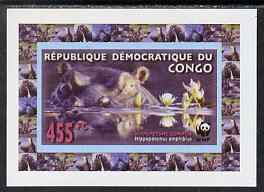 Congo 2009 WWF Hippopotomus #2 individual imperf deluxe sheet unmounted mint. Note this item is privately produced and is offered purely on its thematic appeal