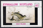 Eynhallow 1982 Animals #09 (Seal) imperf deluxe sheet (£2 value) unmounted mint