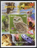 St Thomas & Prince Islands 2005 Animals of the World - Owl imperf s/sheet with Lions International Logo unmounted mint