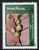 Nepal 1978 Lapsi Fruit 5p unmounted mint, SG 368