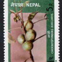 Nepal 1978 Lapsi Fruit 5p unmounted mint, SG 368