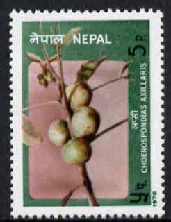 Nepal 1978 Lapsi Fruit 5p unmounted mint, SG 368
