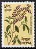 Nepal 1980 Sacred Basil (herb) 5p unmounted mint, SG 396